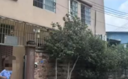 86岁老人与已故儿子的女友结婚 女儿怒砸家门称保护房产！