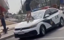 女网红违停并跳上警车被行拘 到底怎么回事