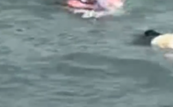 青岛58岁卖玉米大姨回应跳海救人：用我的命换她的也行！