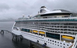 美国一2000多人豪华邮轮爆发病毒！高度传染性 已有近百人感染！