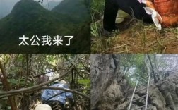 华南F3为了祭祖真拼!连无人机和机器狗都出动了!