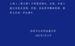 官方通报男子跳至兵马俑三号坑：造成二级文物两尊铠甲武士俑损坏！