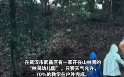 武汉一幼儿园上课70%时间在巡山 走平衡木、跳马、爬山是每日必修课!
