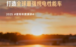 雷军：V8s电机不自己造 又被说代工厂技术 真的气死了！