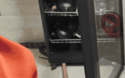 2米多长眼镜王蛇闯入民宿 捕蛇钳一出插翅难飞！