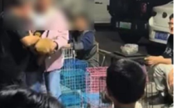 男子买狗不满意退款遭拒当场摔死狗 具体怎么回事？