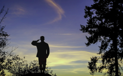 国人骄傲！95岁屠呦呦教授当选美科学院外籍院士！