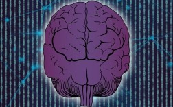 35岁程序员长期熬夜脑干出血：月薪三万 常敲代码到凌晨两点!