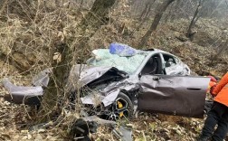 小米SU7滚落山崖 一家四口无恙！车主第二辆小米已提车！