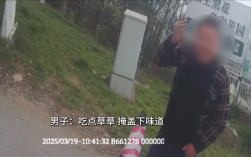 男子酒驾被查：狂吃路边青草！