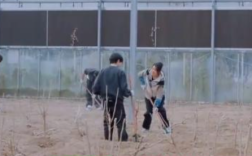 有些“迷糊”!闫妮怎么下地干活也微醺啊