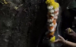 印度一棵树突然向外冒“圣水” 民众敬献花环：真相曝光尴尬了！