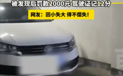 男子网购邻居同号车牌逃费200多元 结果亏大了：罚款2千扣12分！