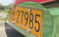 高三考生排队摸985车牌持向日葵出征 祝同学们一举夺魁！