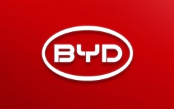 中国品牌巴西逆袭：比亚迪首超丰田位列第四 奇瑞取代日产进入前十！