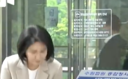 李在明妻子因“公款吃喝”被罚款 具体怎么回事！