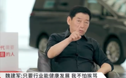 魏建军：只要行业健康发展 我挨骂也值！