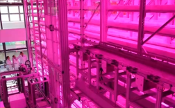 让沙漠成沃土！科学家z轴种菜产量翻100倍！