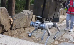 官方回应泰山机器狗将取代挑山工：取代不了 只是运送垃圾！