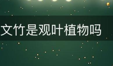 文竹是观叶植物吗