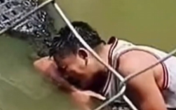 菲律宾一游客误把鳄鱼当塑料雕像 目击者：手臂和大腿受了伤!