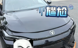 果然冤家姐弟！弟弟陪亲姐提新车 结果上高速被姐姐追尾！