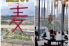 广东居民窗上贴“麦”字：因为麦克风!