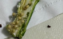 多数“冻干蔬菜脆”实为油炸产品：吸油量甚至超过直接油炸！