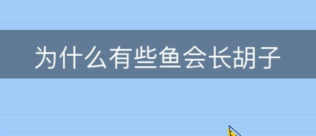 为什么有些鱼会长胡子-图1