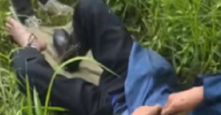 老人被五步蛇咬伤打16支血清保住脚趾 晚半个小时就有生命危险！-第1张图片