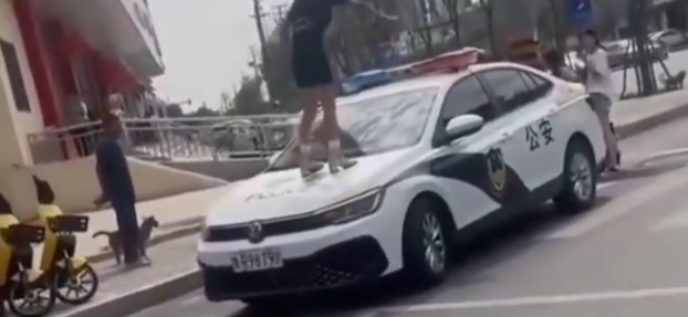 女网红违停并跳上警车被行拘 到底怎么回事