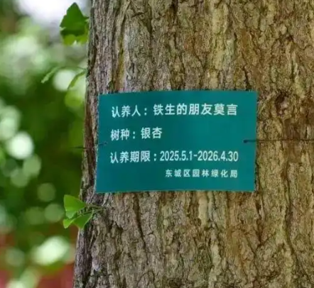 莫言真的在地坛认养了一棵银杏树！